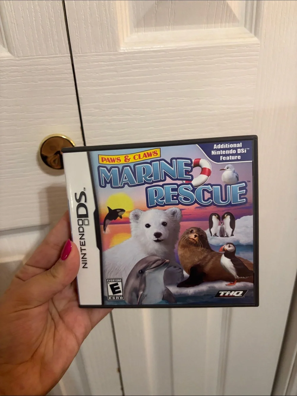 Nintendo DS Game Bundle